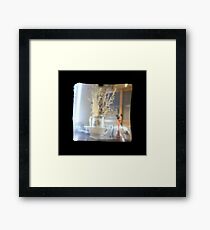 TTV Image ( Through The Viewfinder) Framed Print