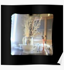 TTV Image ( Through The Viewfinder) Poster