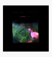 TTV Image ( Through The Viewfinder)#9 Photographic Print