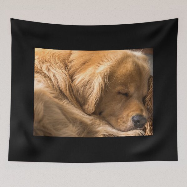 Item preview, Shaggy Dreams designed and sold by Jola Martysz.