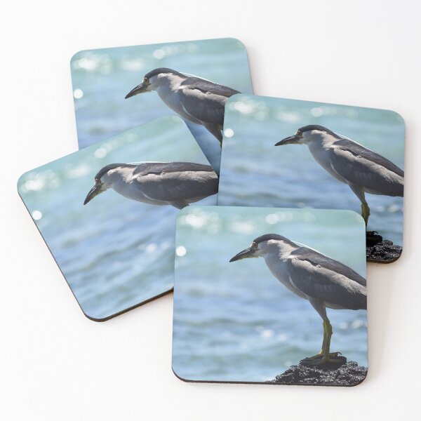 Item preview, Black Crowned Night Heron Fishing designed and sold by photosbypamela.
