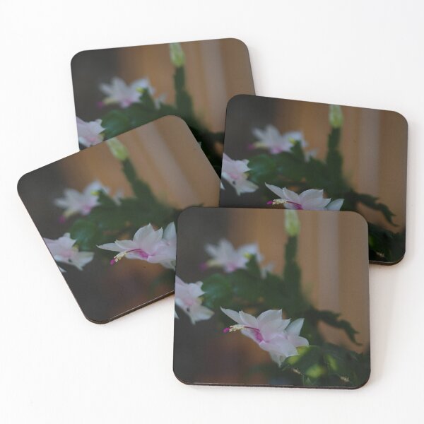 Item preview, real houseplants II designed and sold by distracted.