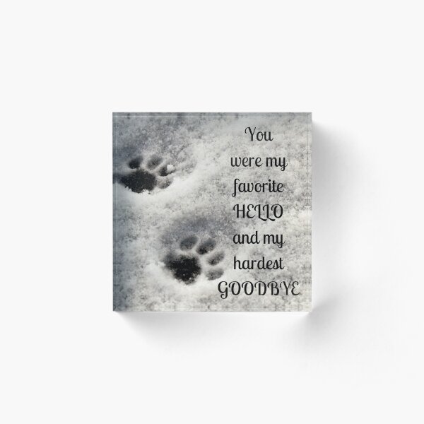 You were my favorite hello and my hardest goodbye Acrylic Block