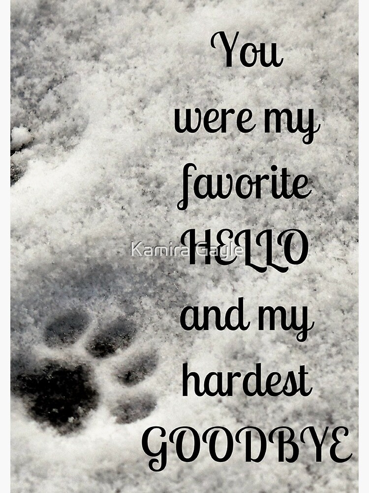 You were my favorite hello and my hardest goodbye by Impurrfectlife