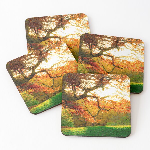 Item preview, Autumn Sunlight designed and sold by MicheleJean.