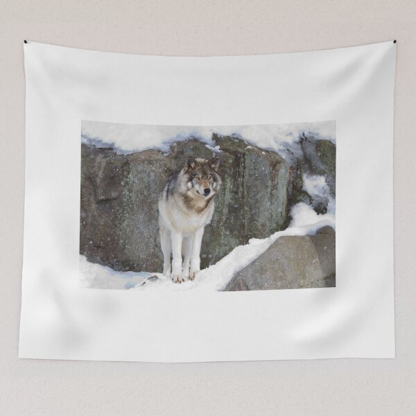 Item preview, Timber Wolf designed and sold by James Cumming.