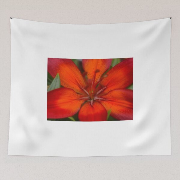 Item preview, Asiatic Red (1) designed and sold by Larry Davis.