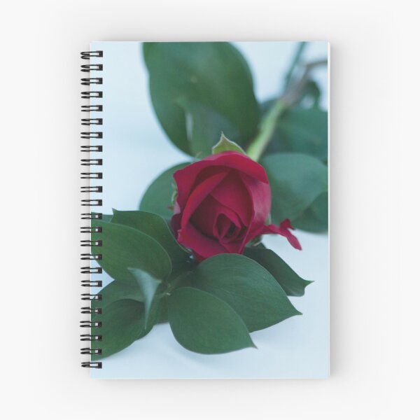 Item preview, Reflection of Beauty designed and sold by Brenda Burnett.