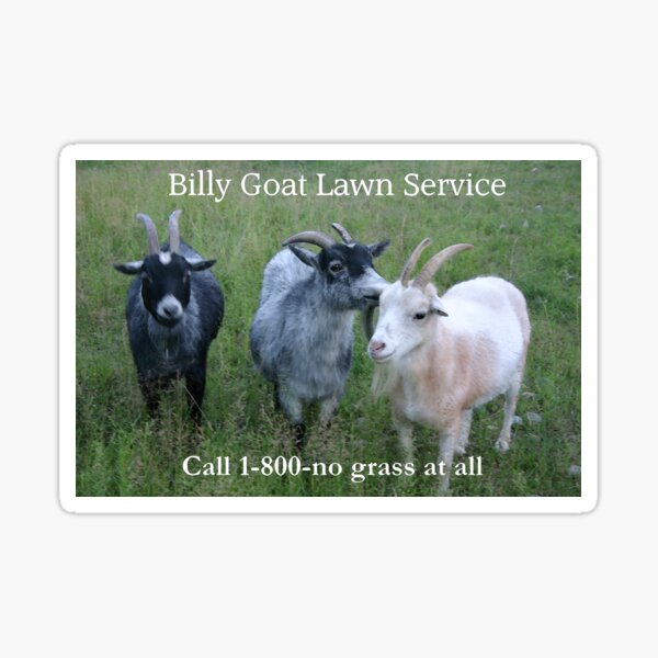 Item preview, Billy Goat Lawn Service  designed and sold by CarolM.