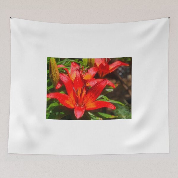 Item preview, Asiatic Red....Lilium  (2) designed and sold by Larry Davis.