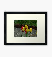 Yellow and Red Tulups Framed Print