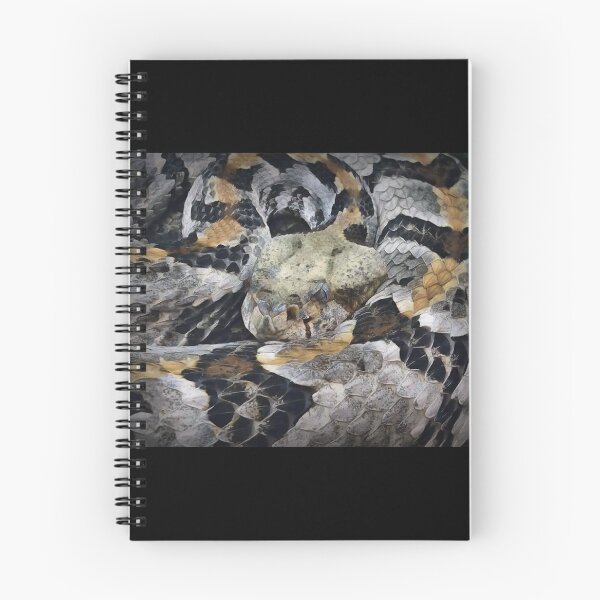 Item preview, Timber Rattlesnake designed and sold by Heathermarie321.