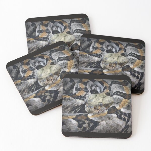 Item preview, Timber Rattlesnake designed and sold by Heathermarie321.
