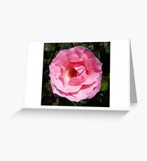 Blushing Greeting Card