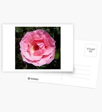 Blushing Postcards