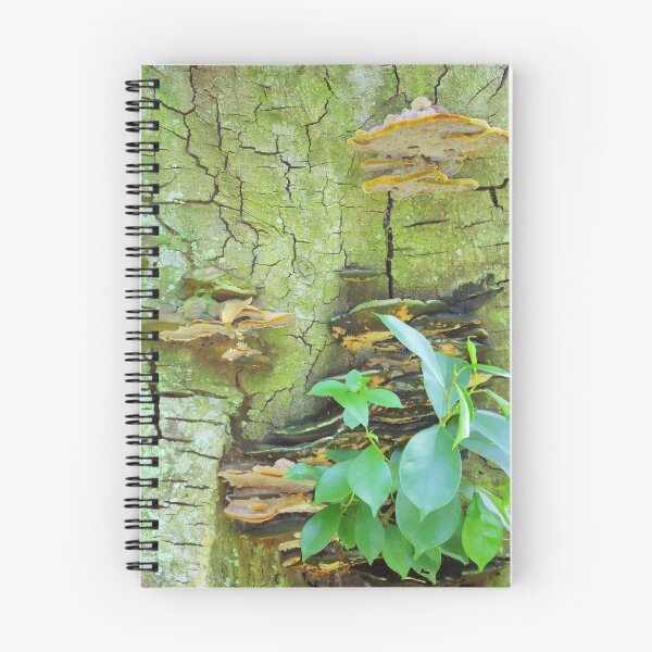 Aperçu de l'œuvre Tree bark créée et vendue par Angel35.
