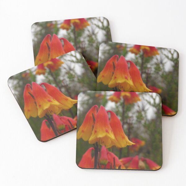Item preview, Blanfordia Grandiflora  designed and sold by KiriLees.