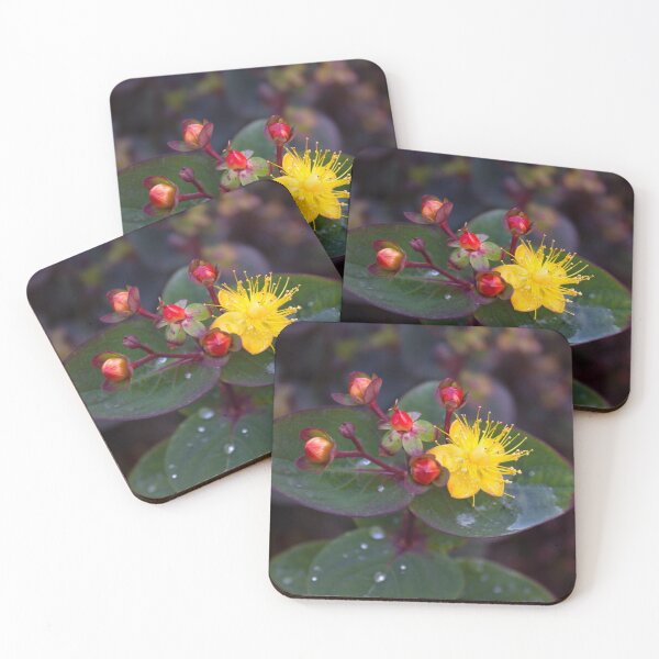 Item preview, Golden Saint Johns Wort designed and sold by SeaChangeDesign.