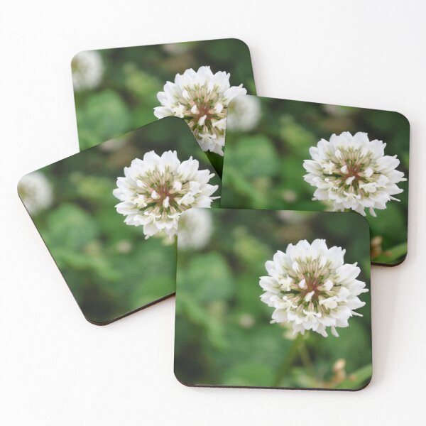 Item preview, Clover blossom designed and sold by TheNuttyDuck.