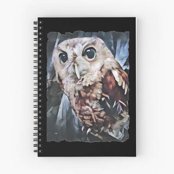Aperçu de l'œuvre Screech Owl créée et vendue par Heathermarie321.