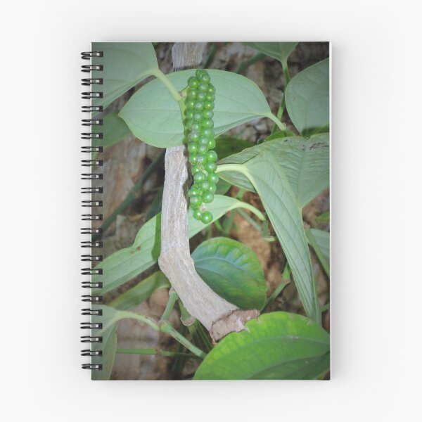 Item preview, Black pepper plant designed and sold by Angel35.