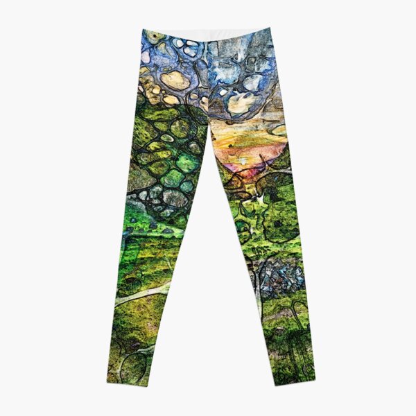 The Atlas of Dreams - Color Plate 237 Leggings