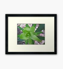 green Framed Print