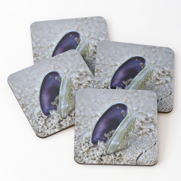 Item preview, Open Shell designed and sold by Selah Images.