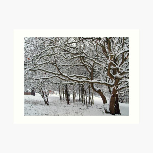 Snow Tree Lattice Art Print