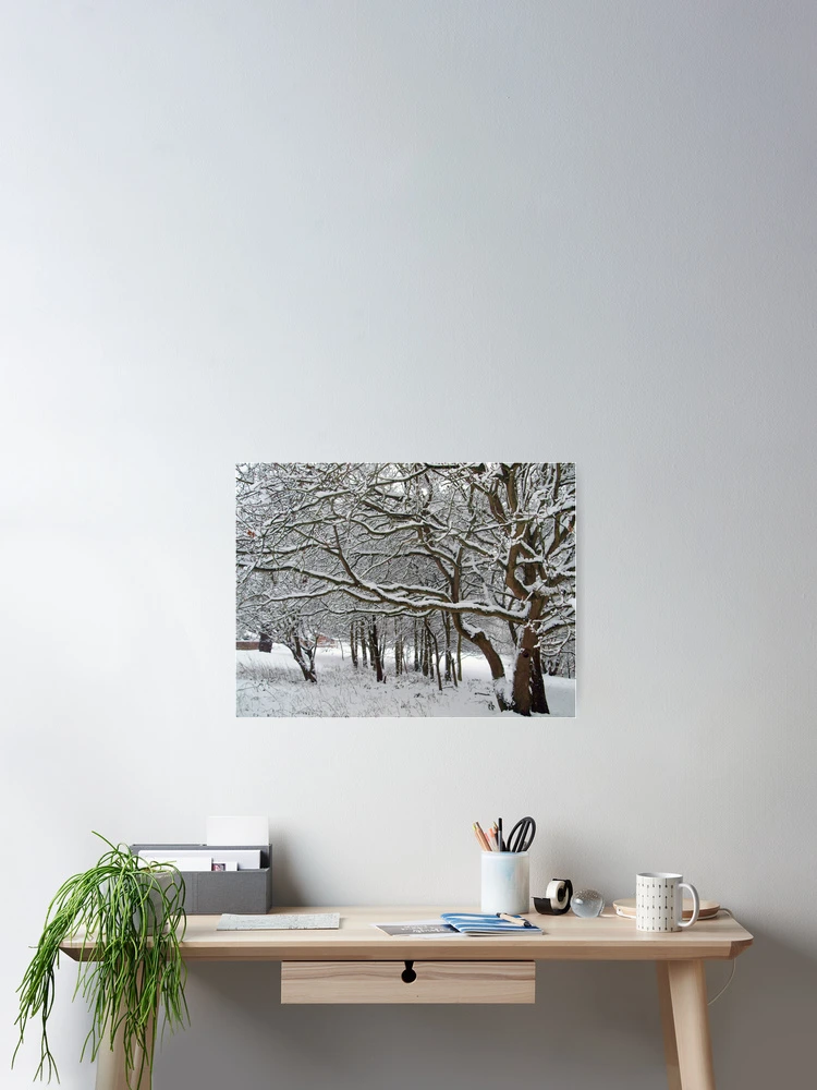 Thumbnail 2 of 3, Poster, Snow Tree Lattice designed and sold by RJBPhotoDesign.
