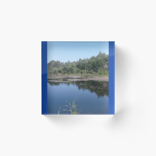 Swamp Survivor Acrylic Block