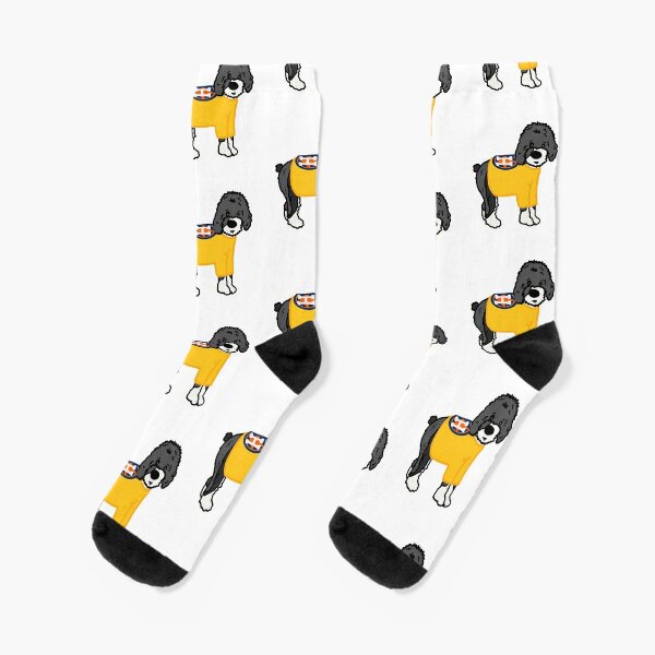 Astro Puppy Socks