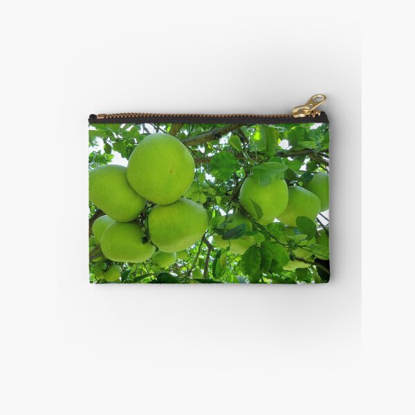 Item preview, pomelo fruit tree designed and sold by Angel35.