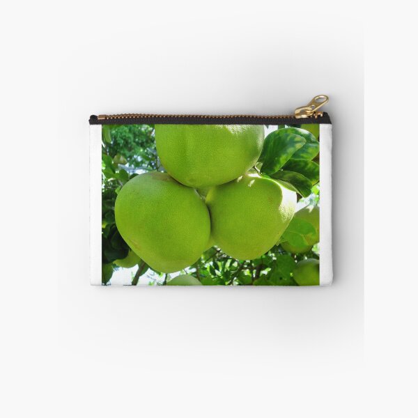Item preview, pomelo fruit tree designed and sold by Angel35.