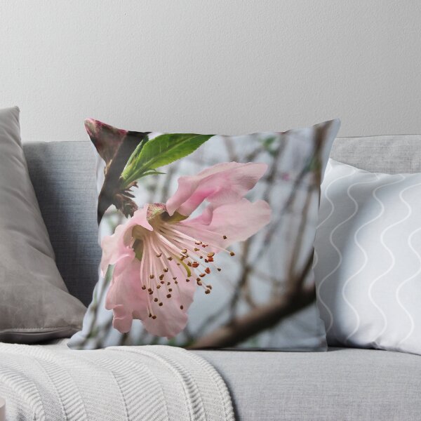 Item preview, Peach Blossom designed and sold by Heathermarie321.