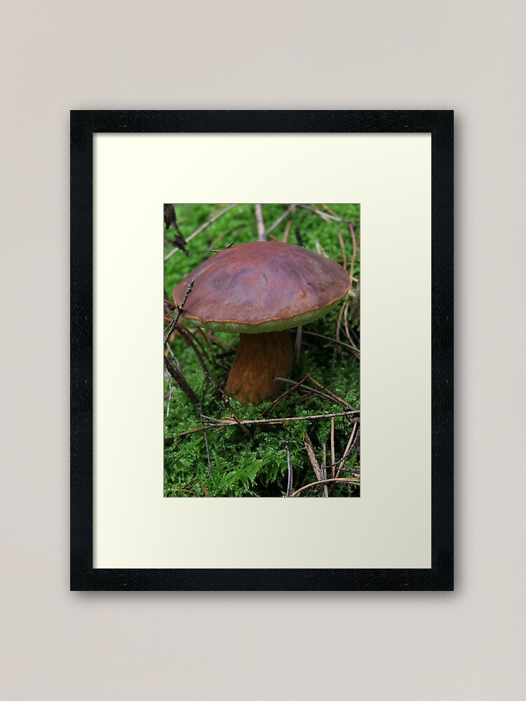 Alternate view of Story about autumn in forest Framed Art Print