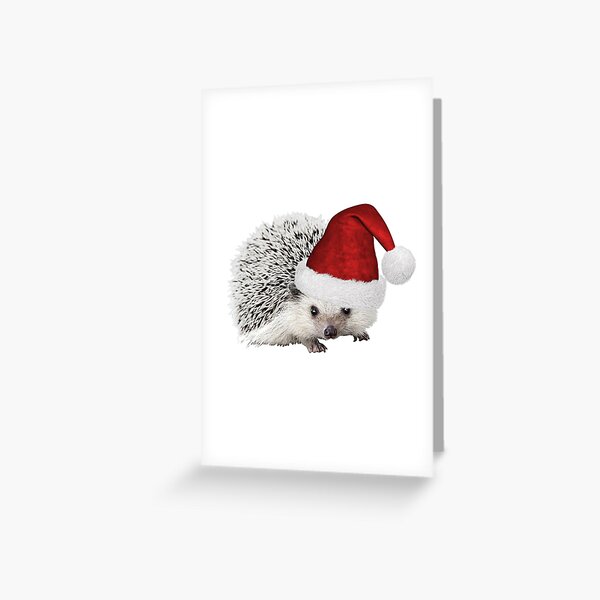 Aperçu de l'œuvre Hérisson Père Noël créée et vendue par motleythread.