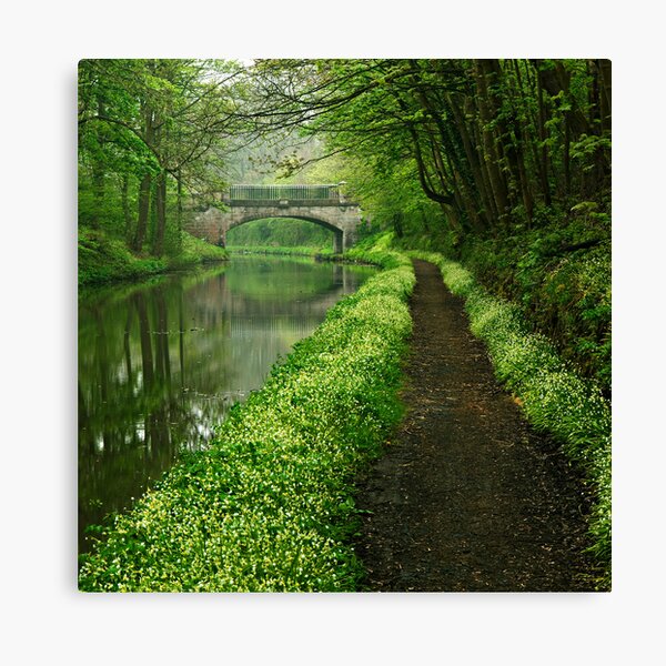 Item preview, Union Canal - The Way To You (Colour Version) designed and sold by Kevin Skinner.
