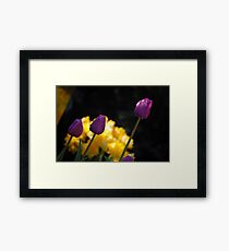 Tulips - Purple Framed Print