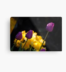 Tulips - Purple Metal Print