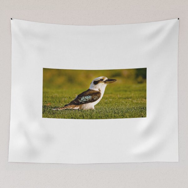 Item preview, "Early Bird' - Kookaburra on lush lawn designed and sold by Ohlordi.
