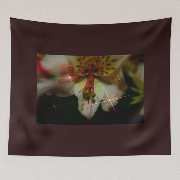 Item preview, A True Star designed and sold by Katagram.