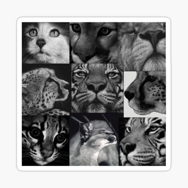 9 Cats Sticker