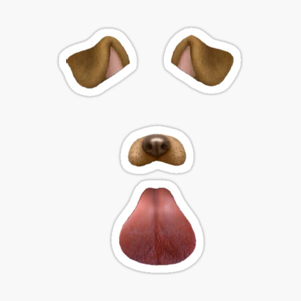 Item preview, Dog Filter Set designed and sold by bigmemeenergy.