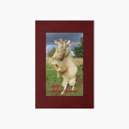 CRITTERS ~ Noldi Mister Capricorn Art Board Print