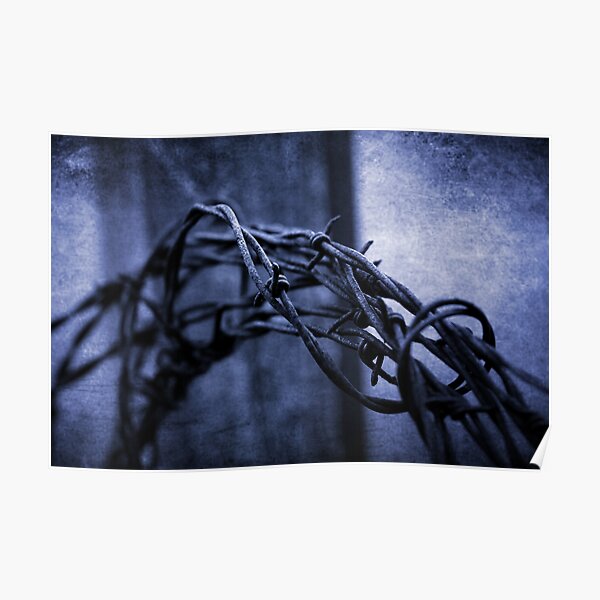 Tangled Up In Blue Poster