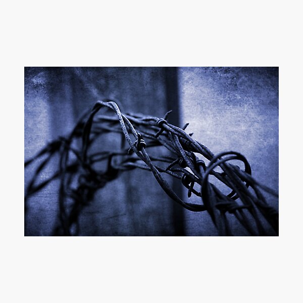 Tangled Up In Blue Photographic Print