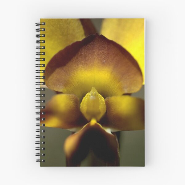 Aperçu de l'œuvre The Wallflower créée et vendue par Ben Loveday.