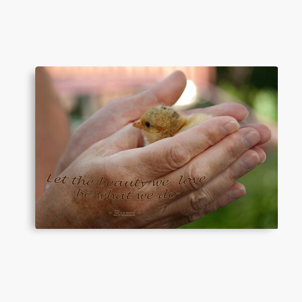 Beauty... Canvas Print