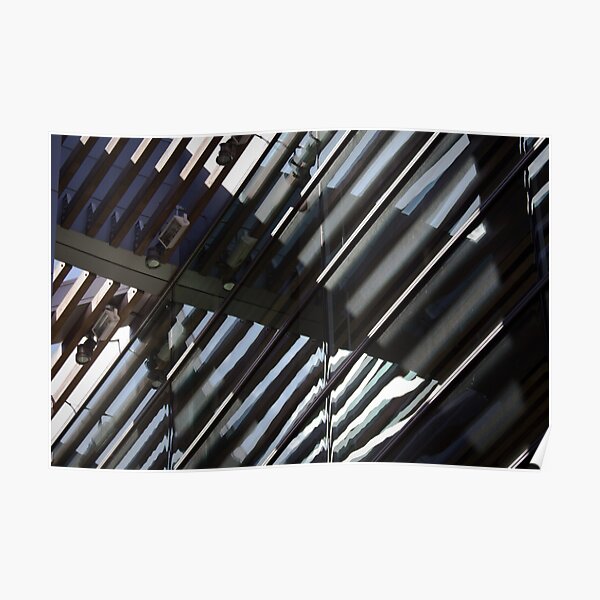 Roof Reflected Poster